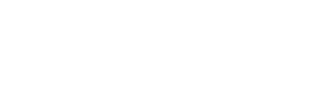 African Union logo